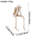 Spooky "Hear No Evil""Speak No Evil""See No Evil" Skeleton Edge Sitting Figurines